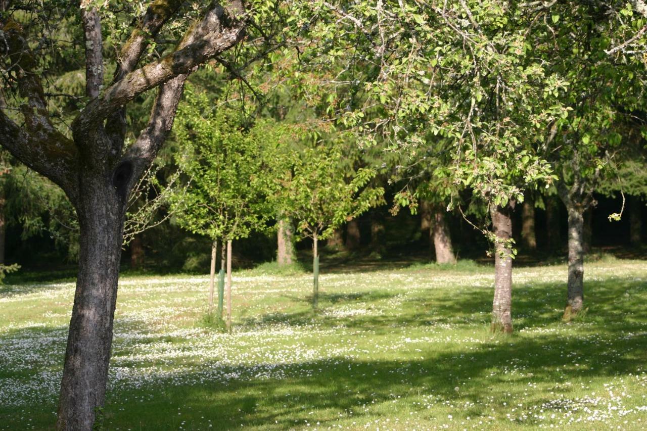 Les Charlotieres Villa Chailles  Kültér fotó